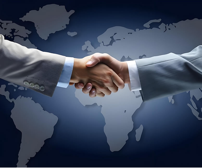 BUSINESS FORMATION